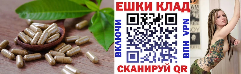 где можно купить наркотик  Чухлома  Ecstasy louis Vuitton 
